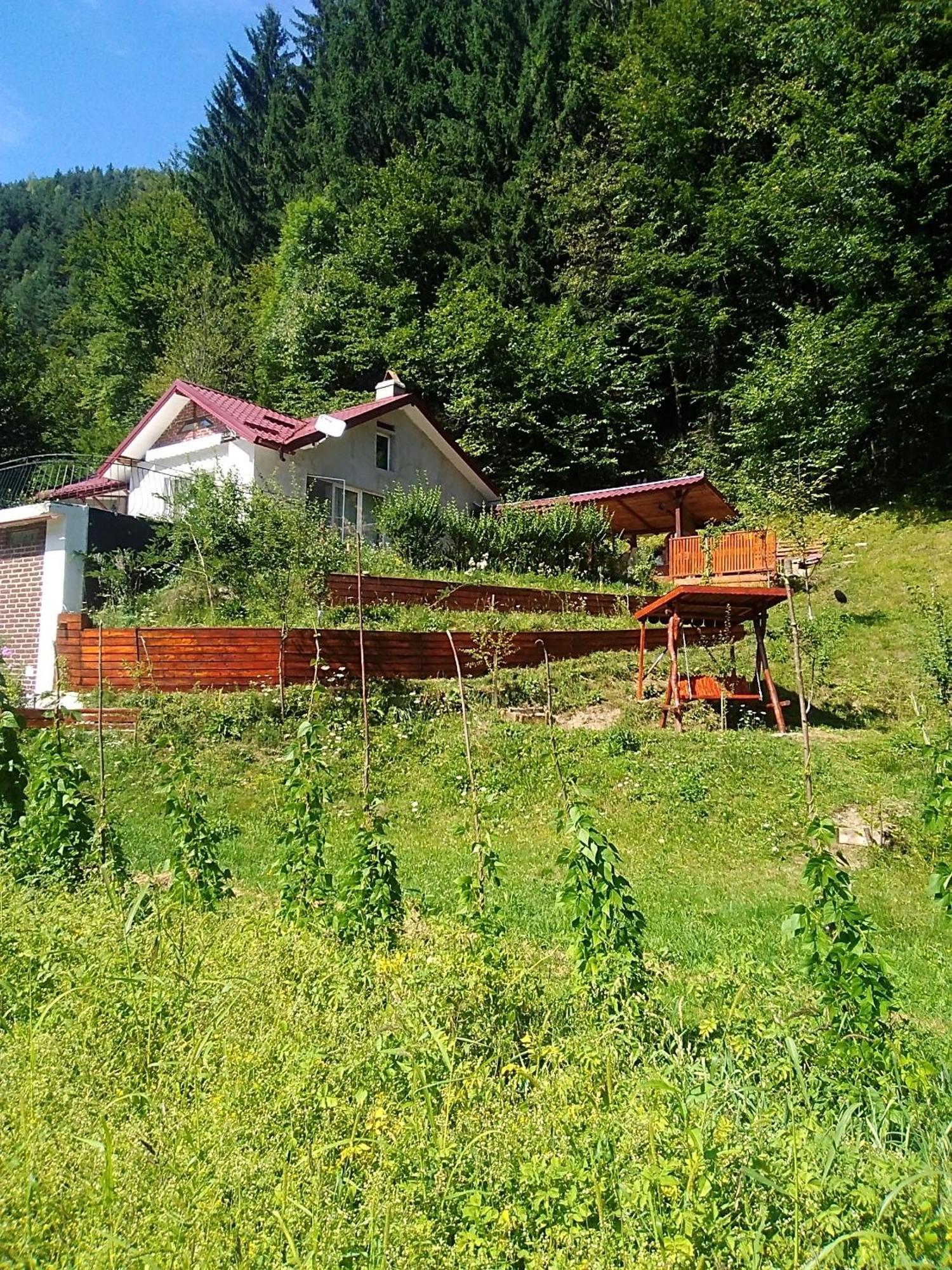 Hotel Casa Ozon Vulcan  Zewnętrze zdjęcie