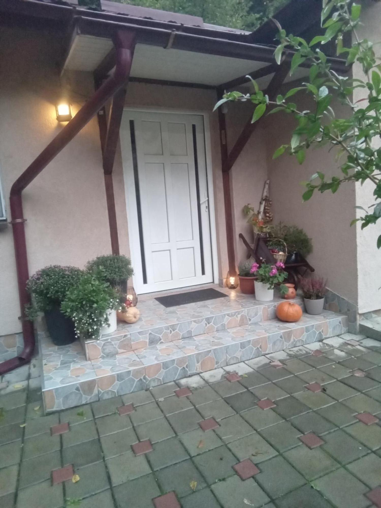 Hotel Casa Ozon Vulcan  Zewnętrze zdjęcie