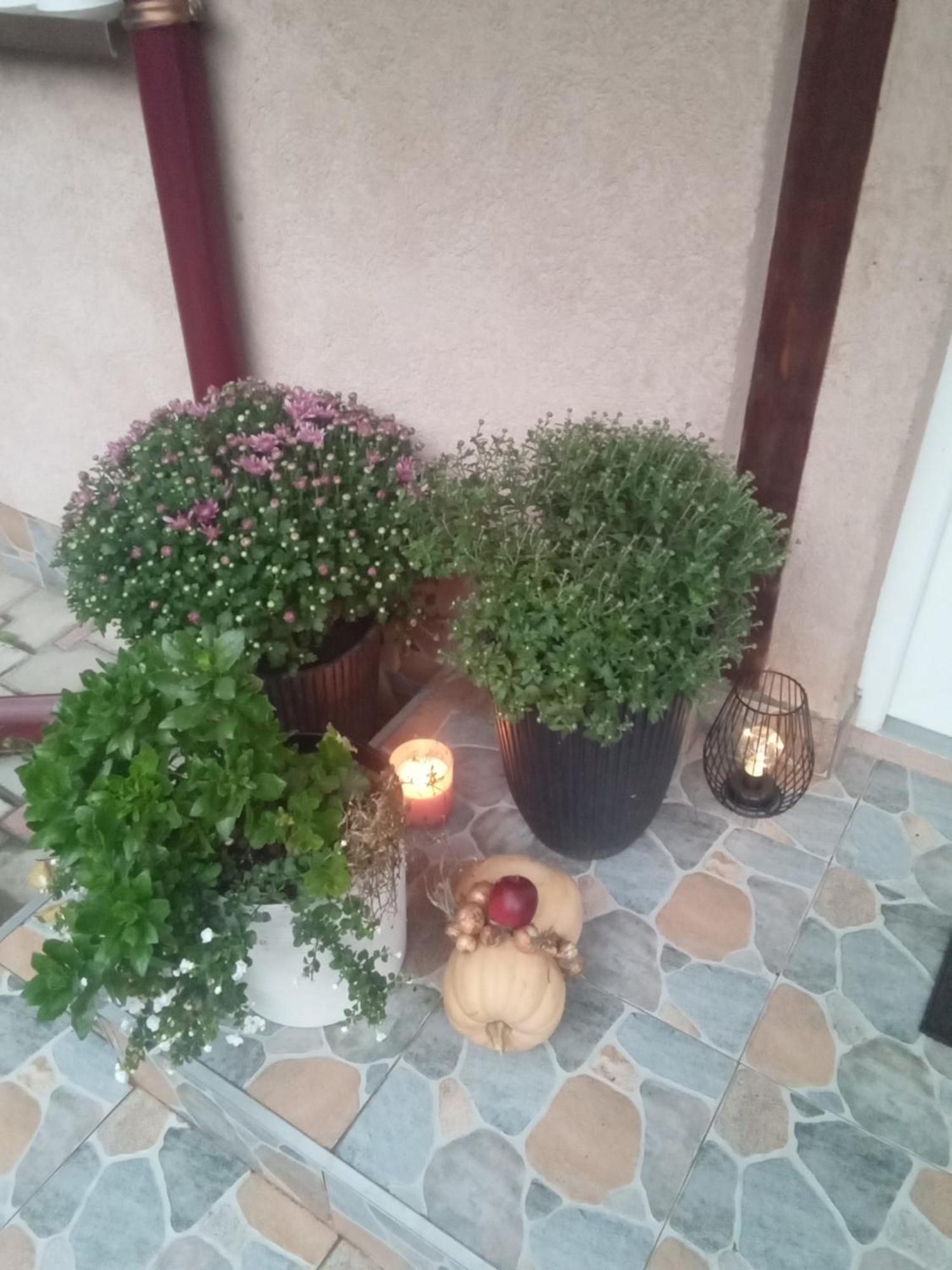 Hotel Casa Ozon Vulcan  Zewnętrze zdjęcie