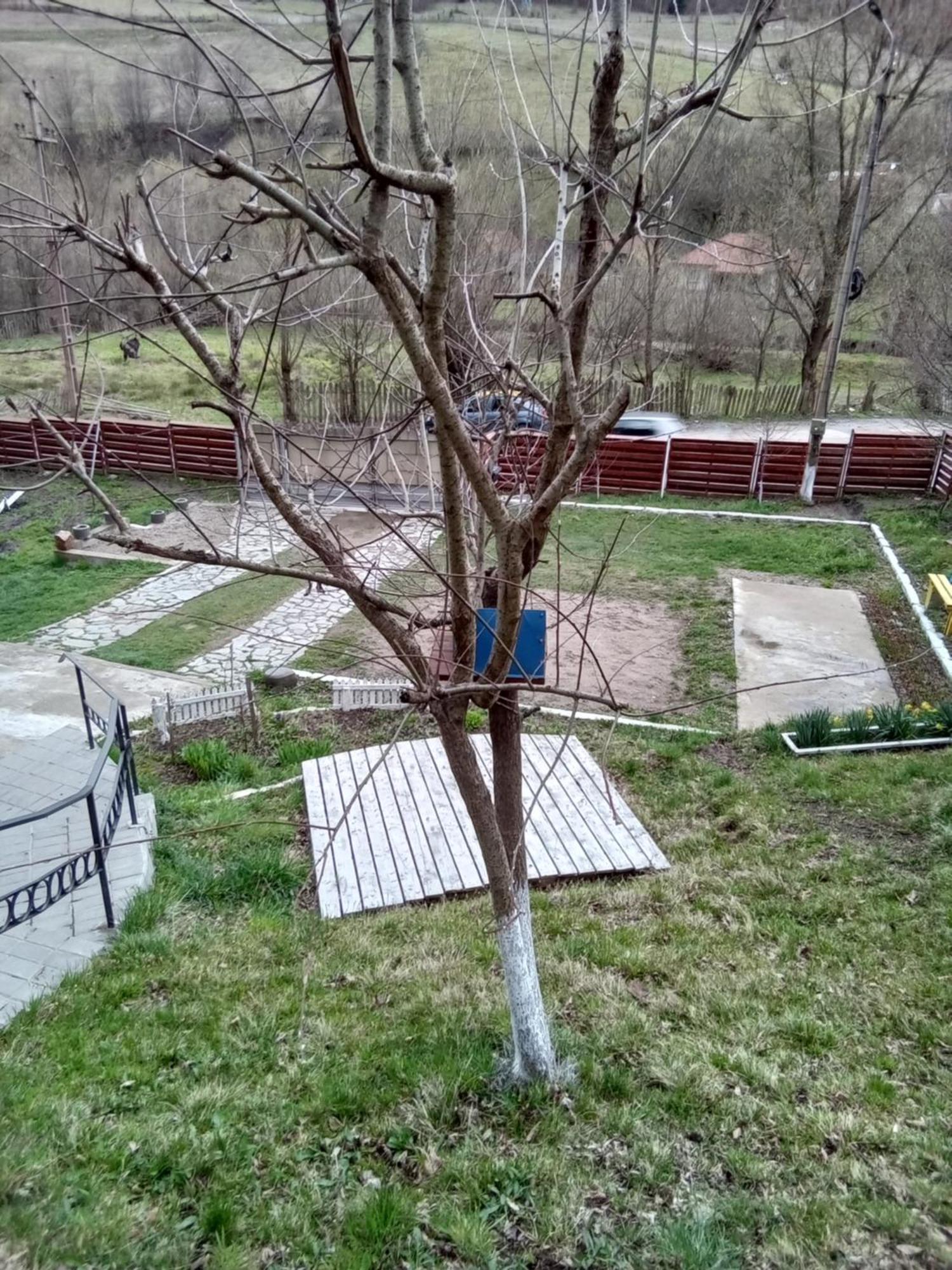 Hotel Casa Ozon Vulcan  Zewnętrze zdjęcie